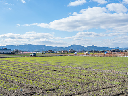 高齢のため頻繁に お墓にいくことができない